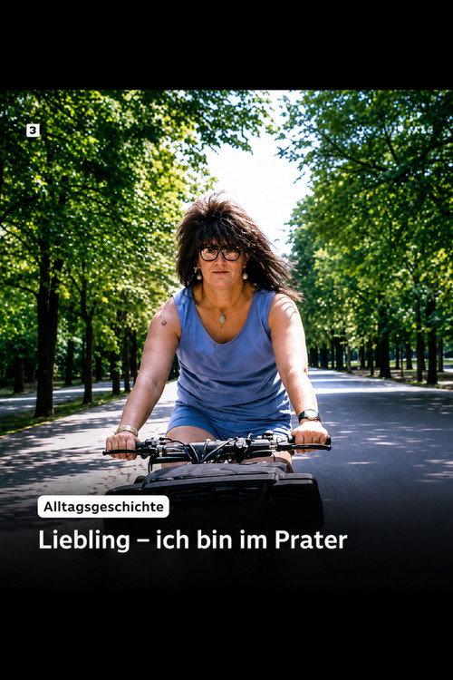 Alltagsgeschichte – Liebling, ich bin im Prater 1993 official movie poster