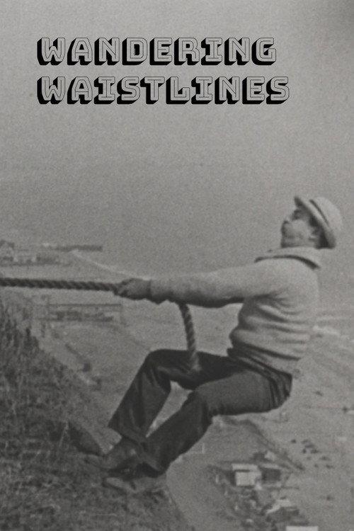 Wandering Waistlines 1924 official movie poster