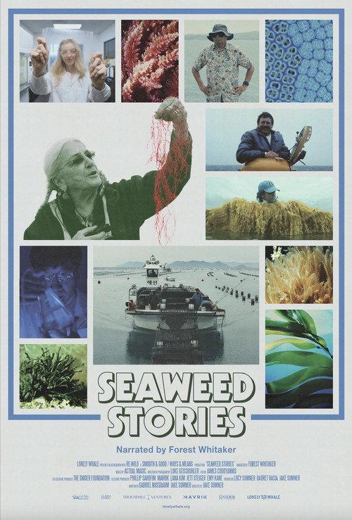Seaweed Stories 2024 official movie poster