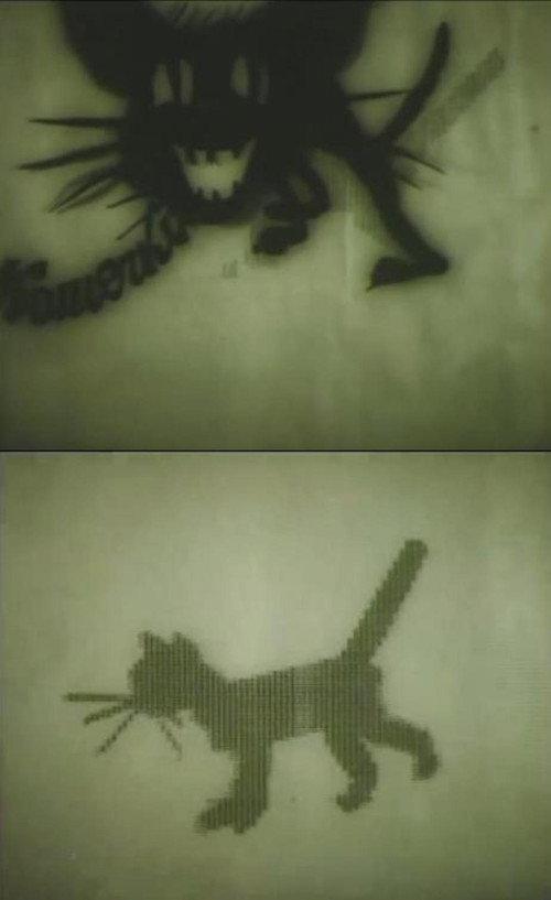 Kitten 1968 official movie poster
