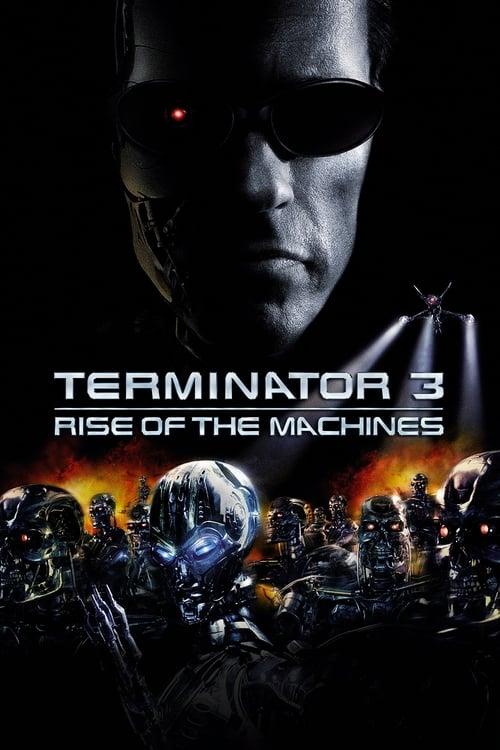 Terminator 3: Rise of the Machines 2003 official movie poster