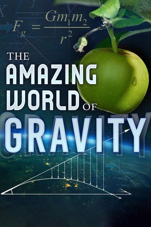 The Amazing World of Gravity 2017 official movie poster