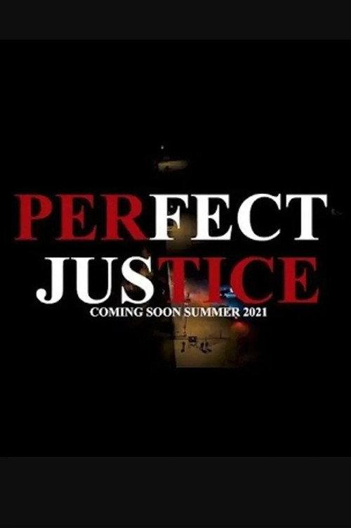 Perfect Justice 2021 official movie poster