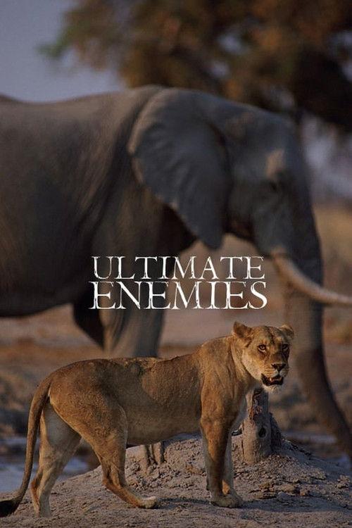 Ultimate Enemies: Revealed 2022 official movie poster