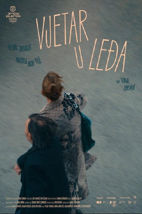 Wind Beneath the Wings 2026 official movie poster