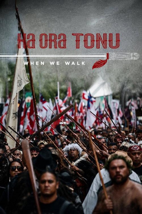 When We Walk 2026 official movie poster