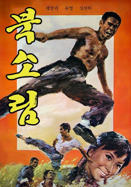 Tiger of Northland 1976 official movie poster