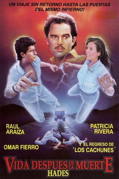 Hades: Life After Death 1993 official movie poster
