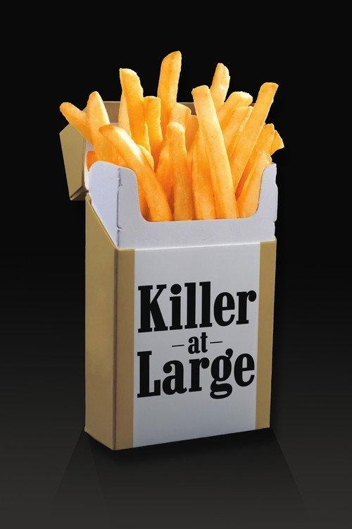 Killer at Large 2008 official movie poster