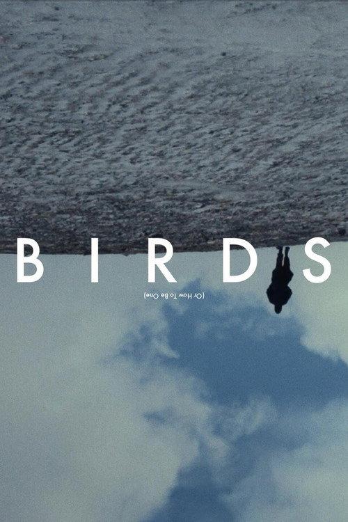 Birds (Or How to Be One) 2020 official movie poster