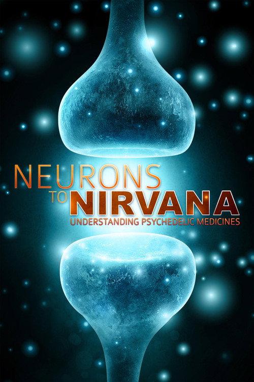 Neurons to Nirvana 2013 official movie poster
