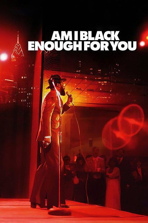 Am I Black Enough for You 2009 official movie poster