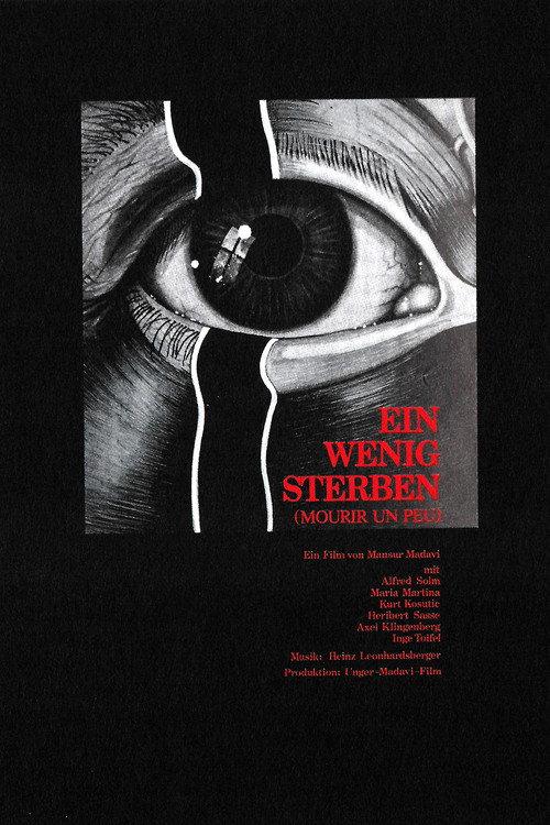 Dying Bit by Bit 1981 official movie poster