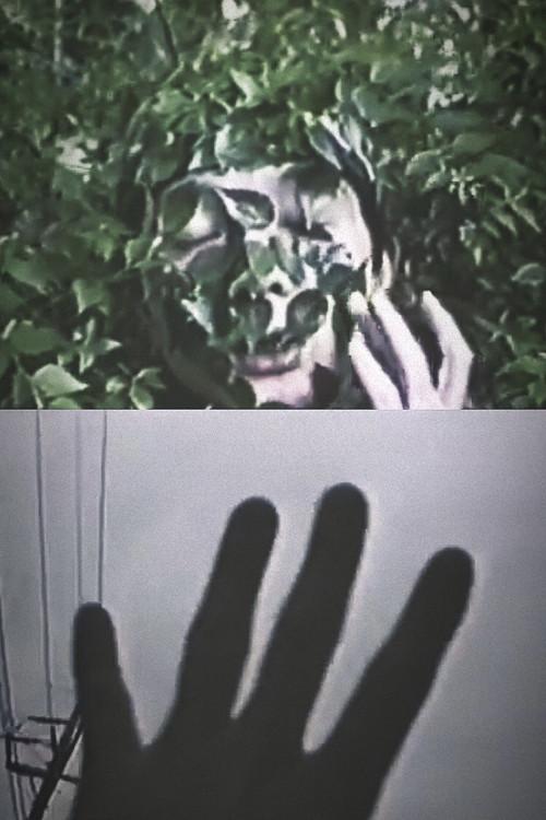 Emotional Gel Scenery 1993 official movie poster