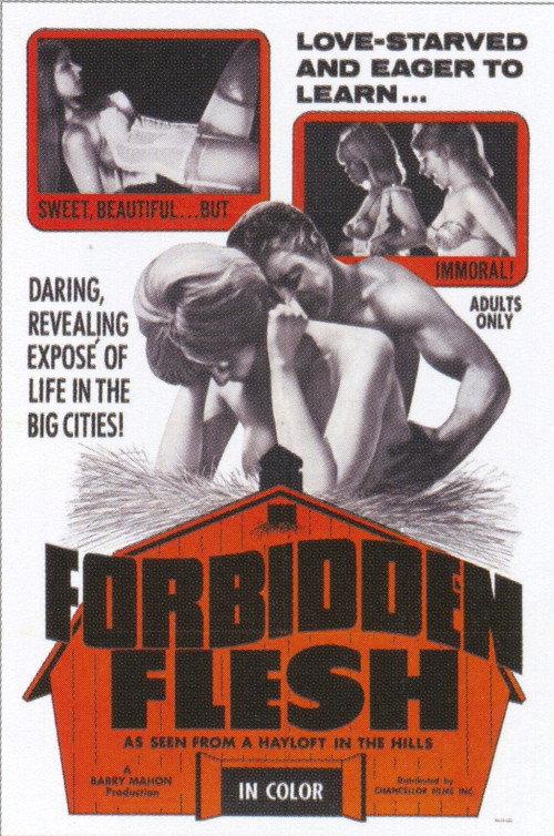 Forbidden Flesh 1968 official movie poster
