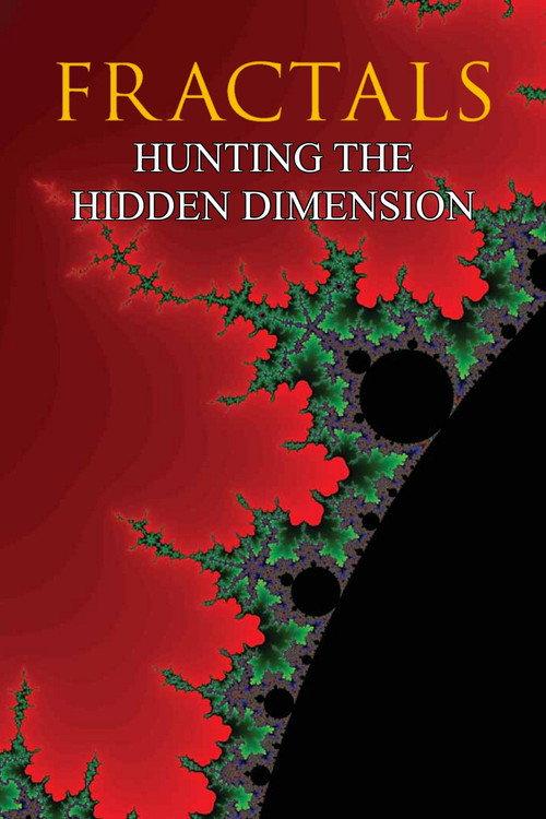 Fractals: Hunting the Hidden Dimension 2008 official movie poster