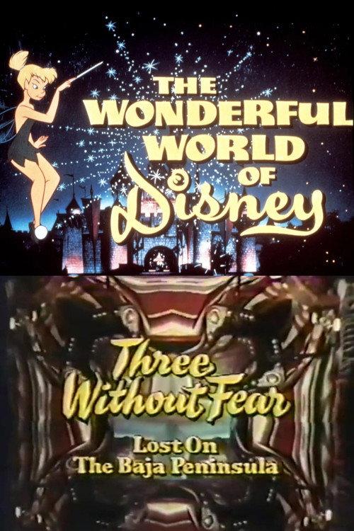 Three Without Fear 1971 official movie poster
