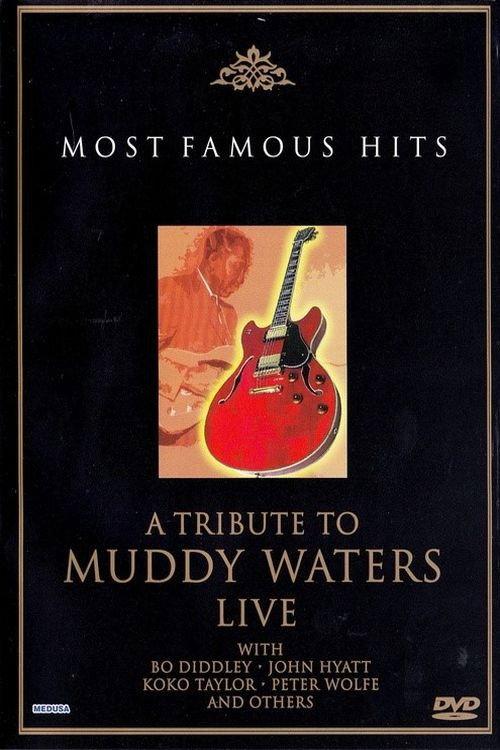 A Tribute to Muddy Waters - Live 2003 official movie poster