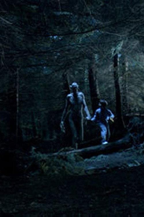 Ordan's Forest 2005 official movie poster