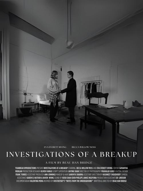 Investigations of a Breakup 2025 official movie poster