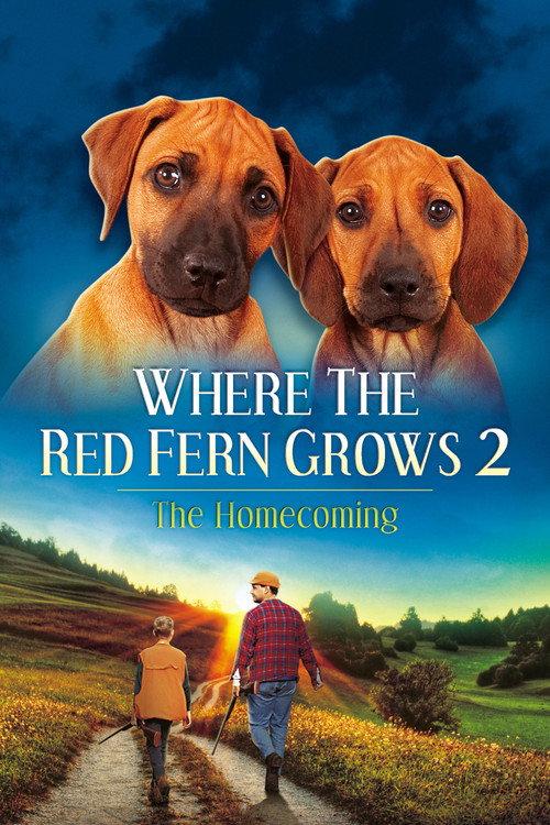 Where The Red Fern Grows Part 2 1992 official movie poster