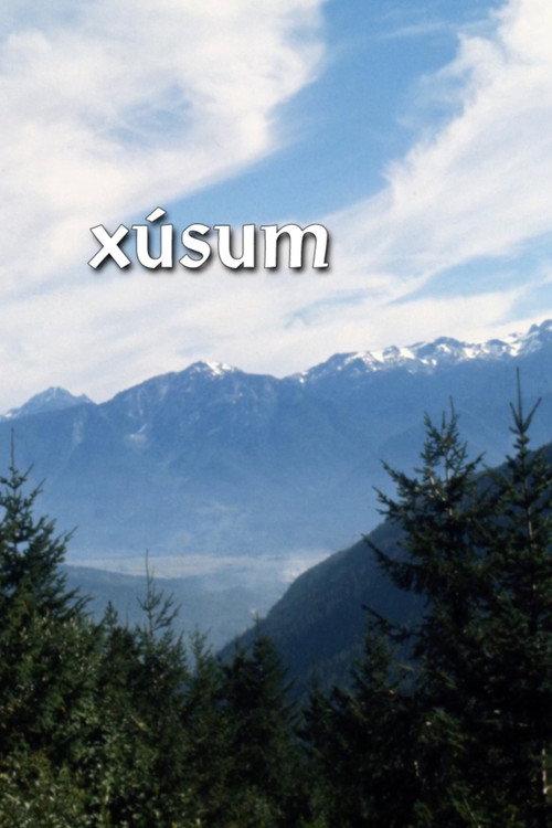 Xusum 1975 official movie poster