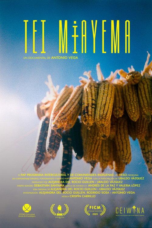 Tei Mɨayema 2025 official movie poster