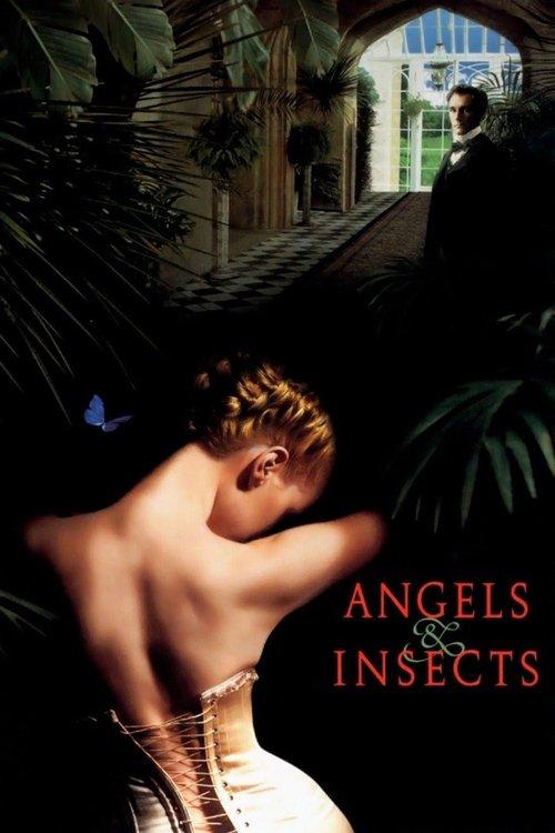 Angels and Insects 1995 official movie poster