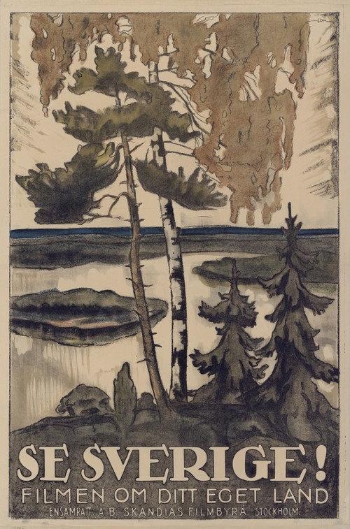 See Sweden! 1924 official movie poster