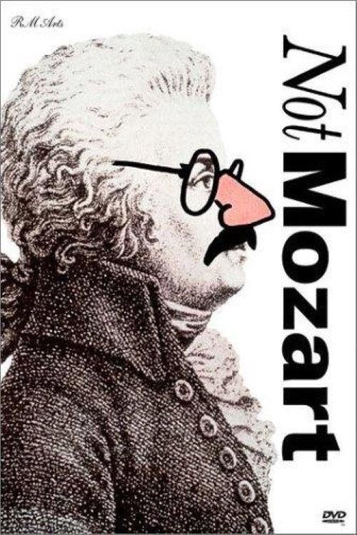 Not Mozart: Letters, Riddles and Writs 1991 official movie poster