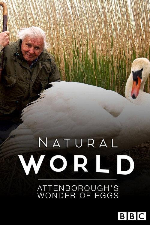 Attenborough's Wonder of Eggs 2018 official movie poster