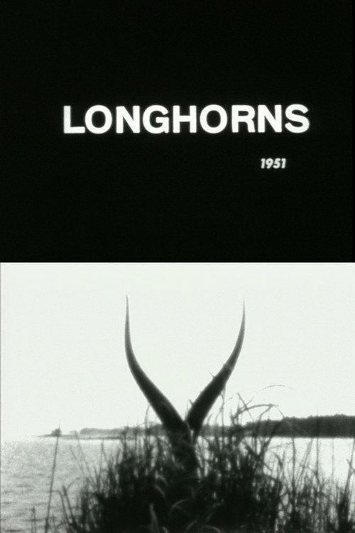 Longhorns 1951 official movie poster