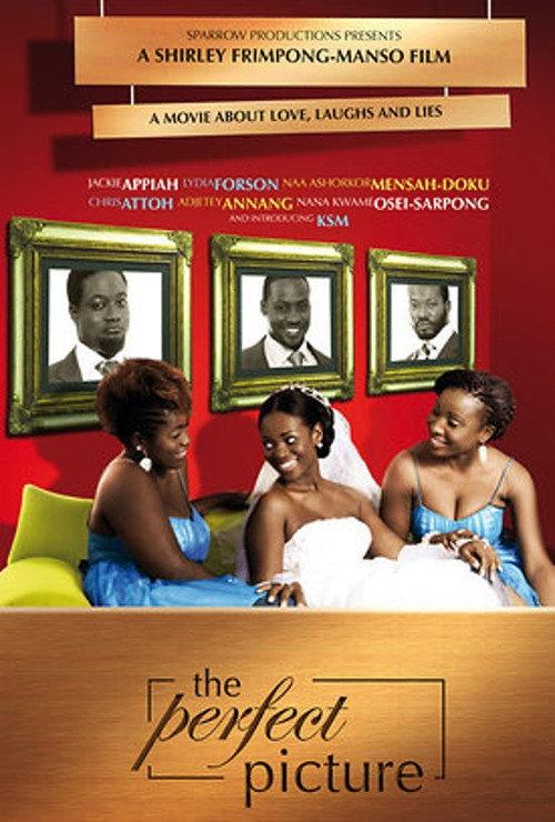 The Perfect Picture 2009 official movie poster