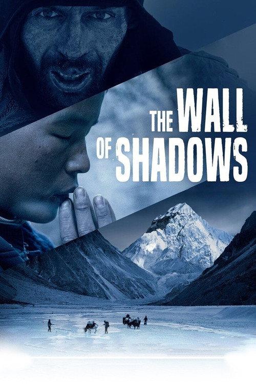 The Wall of Shadows 2021 official movie poster