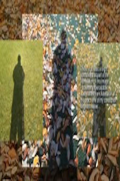 Self Portrait After Raban Take Measure 2008 official movie poster
