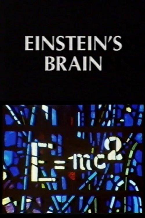 Relics: Einstein's Brain 1994 official movie poster