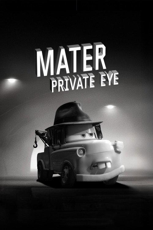 Mater Private Eye 2010 official movie poster