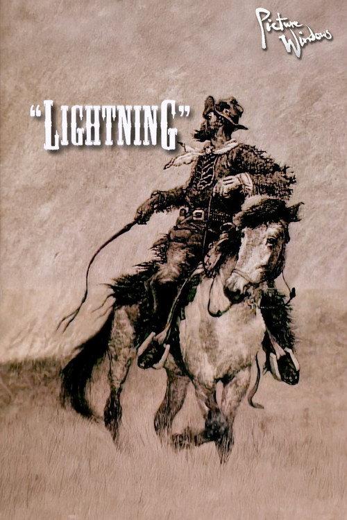 Picture Windows: Lightning 1995 official movie poster