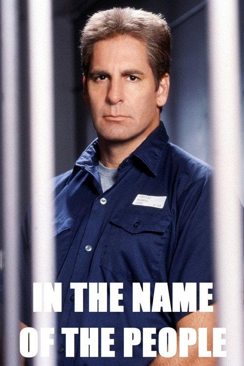 In the Name of the People 2000 official movie poster