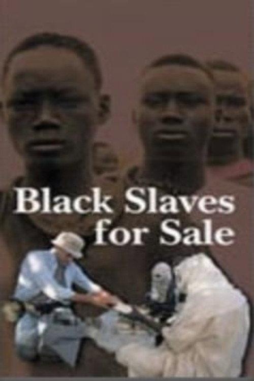 Black Slaves for Sale 2000 official movie poster