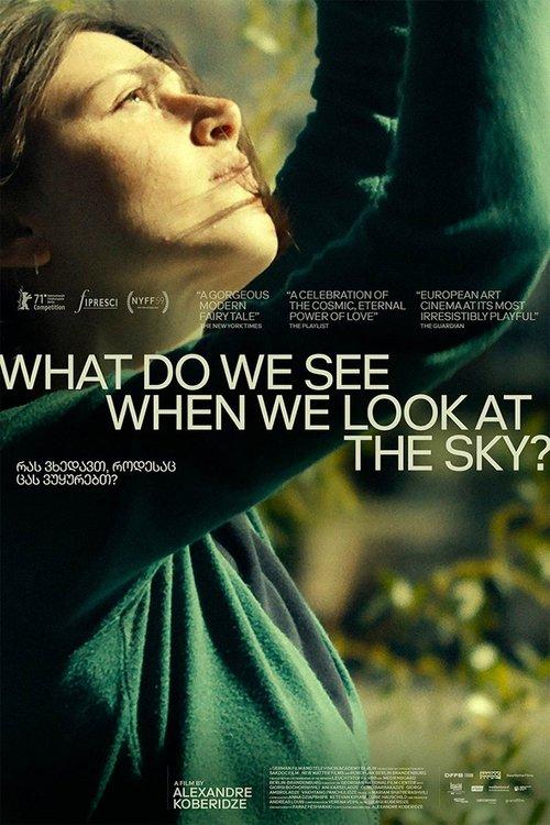 What Do We See When We Look at the Sky? 2021 official movie poster