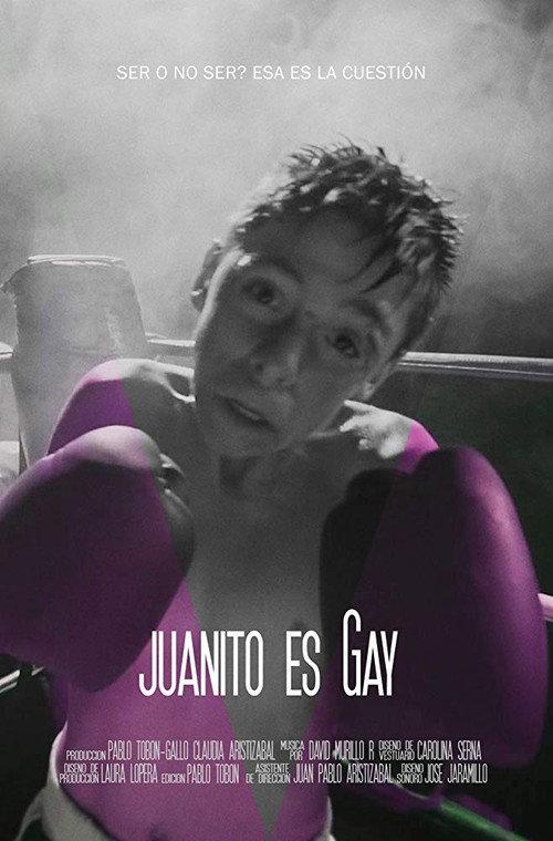 Johnny Is Gay 2016 official movie poster