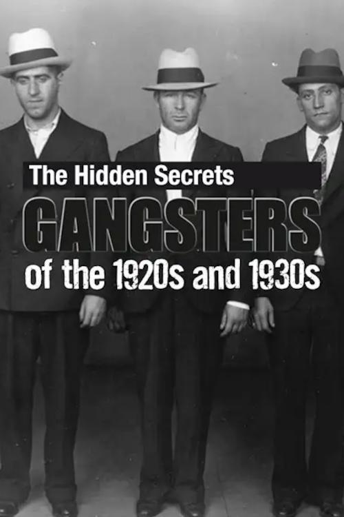 The Hidden Secrets: Gangsters of the 1920s and 1930s 2012 official movie poster