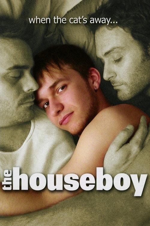 The Houseboy 2007 official movie poster
