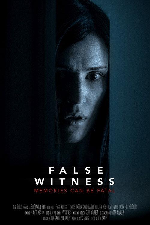False Witness 2019 official movie poster