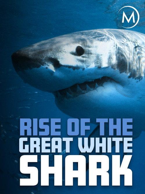 Rise Of The Great White Shark 2017 official movie poster