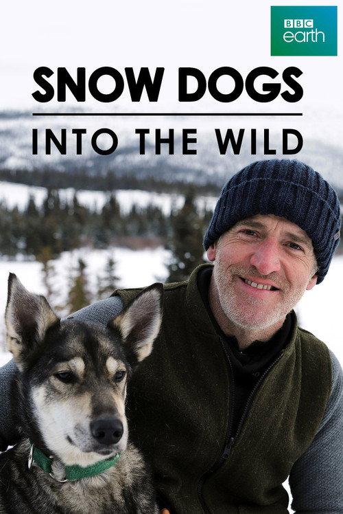 Snow Dogs: Into the Wild 2022 official movie poster