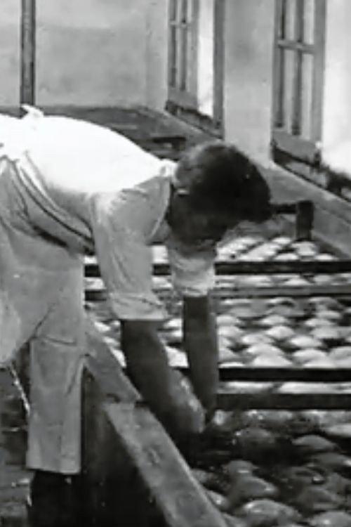 The Preparation of Cheese 1920 official movie poster