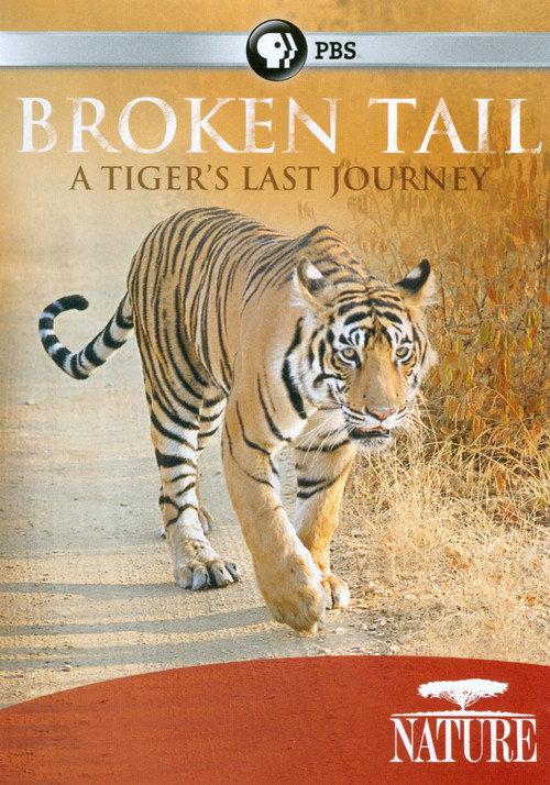 Broken Tail: A Tiger's Last Journey 2011 official movie poster