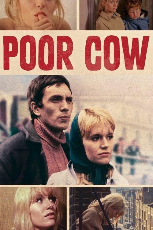 Poor Cow 1967 official movie poster